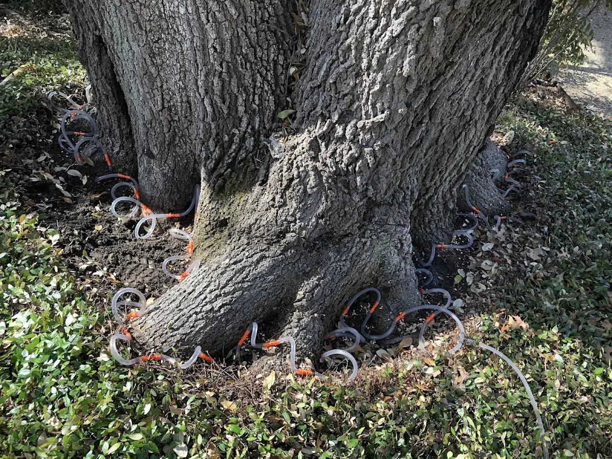 Detailed Shrub and Hedge Trimming job site in Waldron
