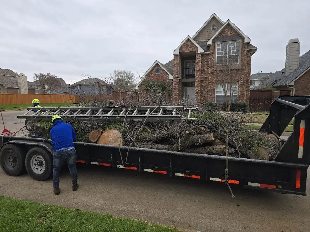 Expert Tree Fertilization with proper safety equipment in Waldron